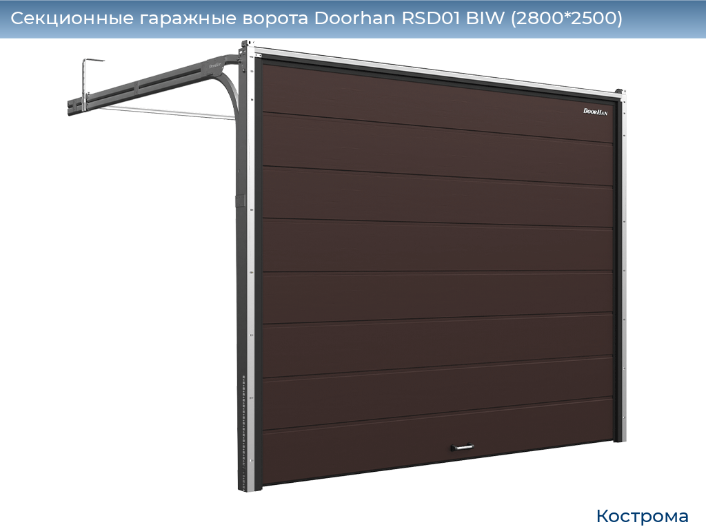 Секционные гаражные ворота Doorhan RSD01 BIW (2800*2500), kostroma.doorhan.ru