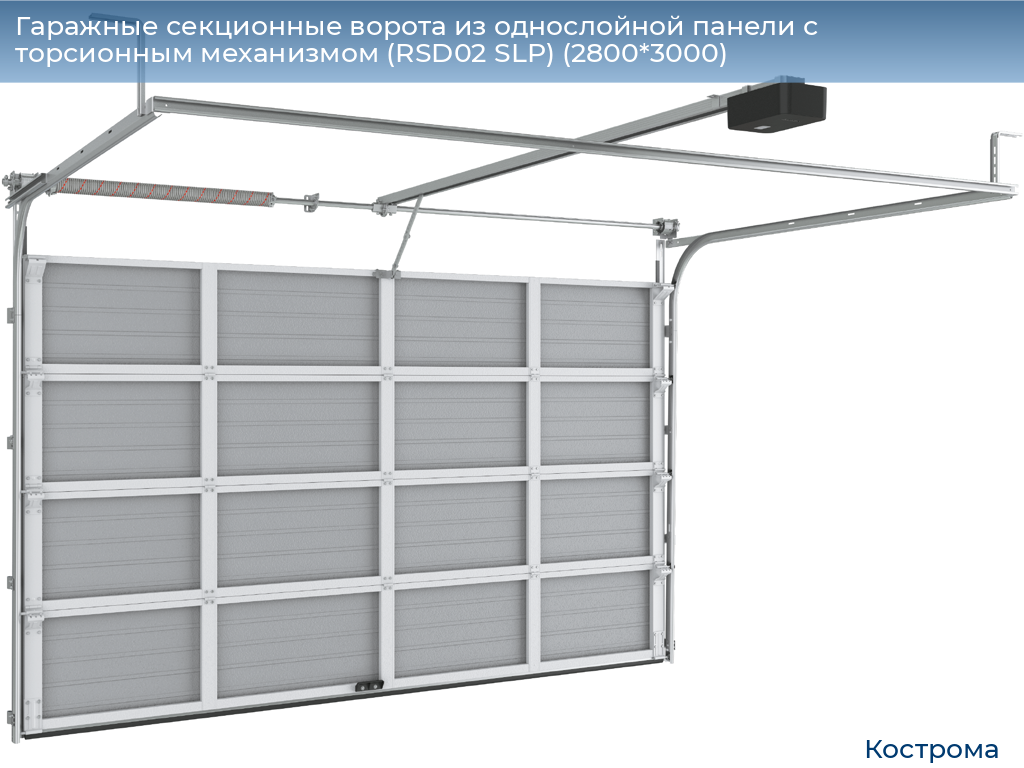 Гаражные секционные ворота из однослойной панели с торсионным механизмом (RSD02 SLP) (2800*3000), kostroma.doorhan.ru