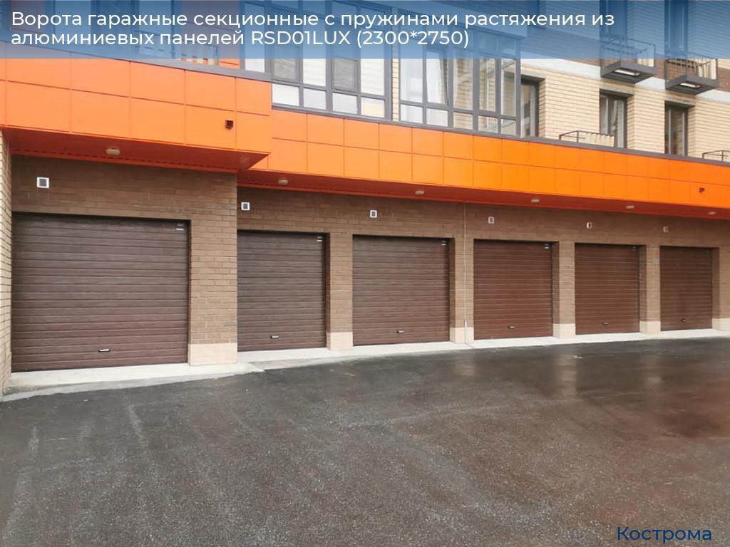 Ворота гаражные секционные с пружинами растяжения из алюминиевых панелей RSD01LUX (2300*2750), kostroma.doorhan.ru