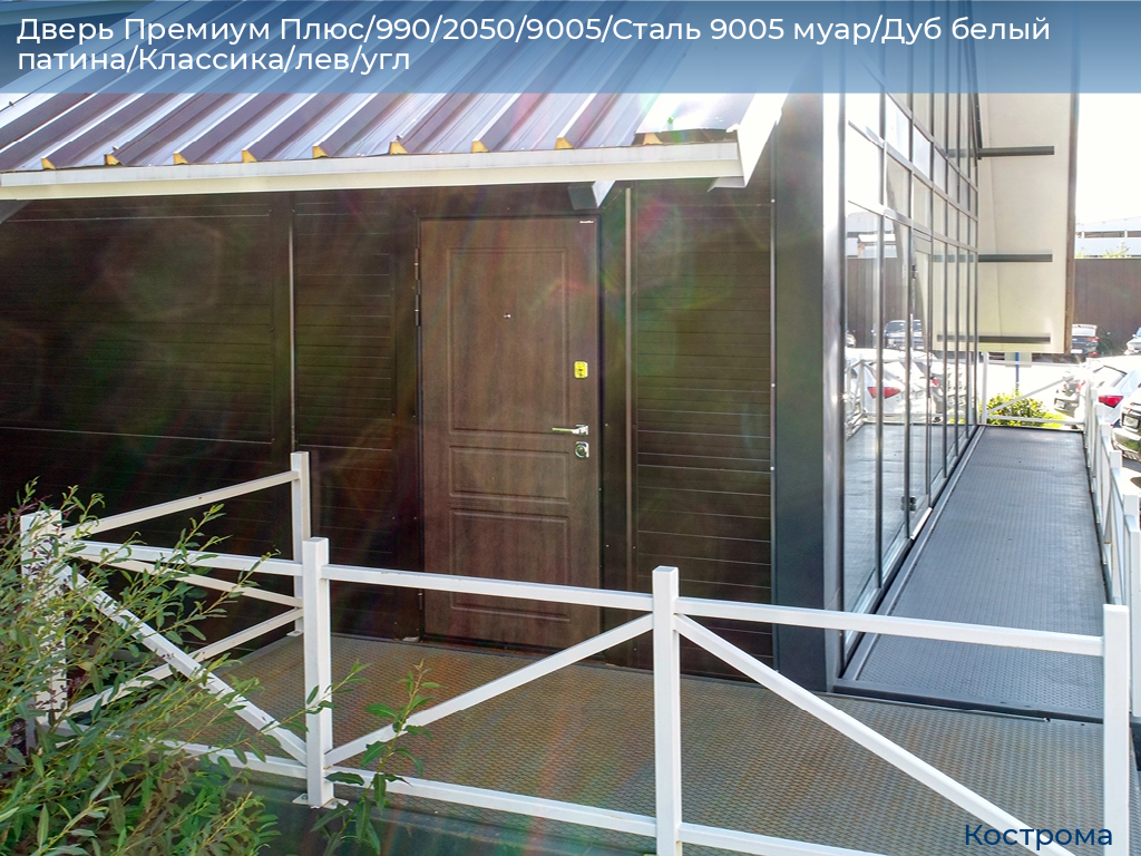 Дверь Премиум Плюс/990/2050/9005/Сталь 9005 муар/Дуб белый патина/Классика/лев/угл, kostroma.doorhan.ru