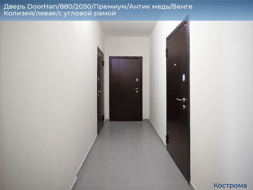 Дверь DoorHan/880/2050/Премиум/Антик медь/Венге Колизей/левая/с угловой рамой, kostroma.doorhan.ru