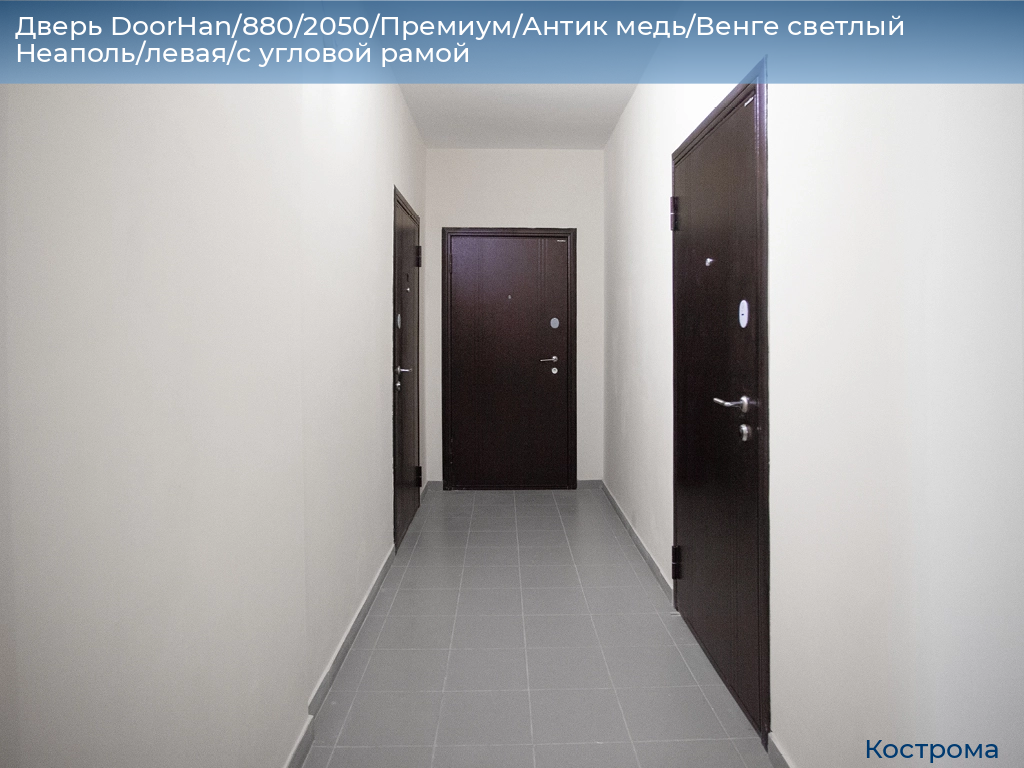 Дверь DoorHan/880/2050/Премиум/Антик медь/Венге светлый Неаполь/левая/с угловой рамой, kostroma.doorhan.ru