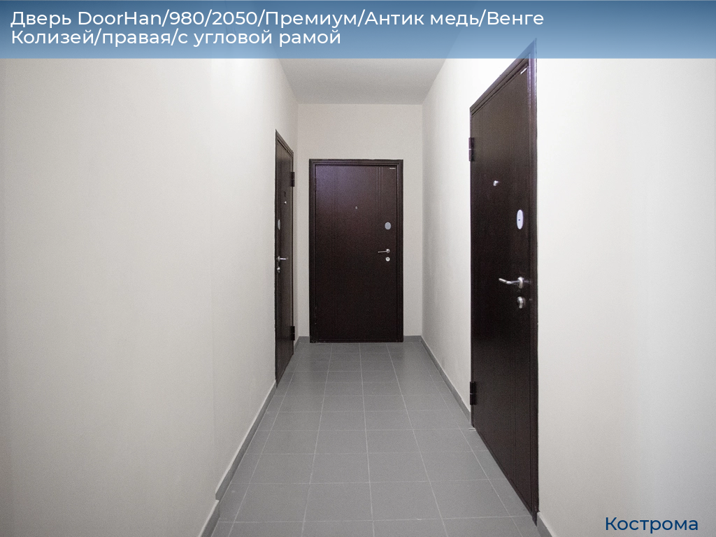 Дверь DoorHan/980/2050/Премиум/Антик медь/Венге Колизей/правая/с угловой рамой, kostroma.doorhan.ru