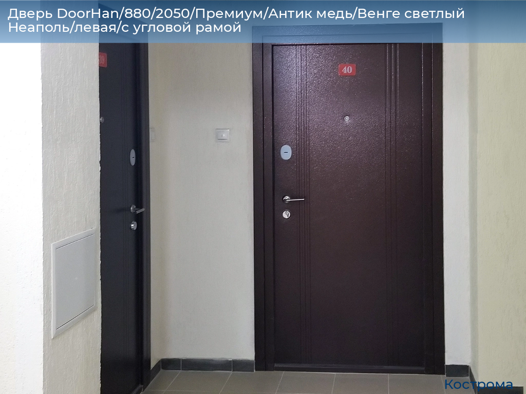 Дверь DoorHan/880/2050/Премиум/Антик медь/Венге светлый Неаполь/левая/с угловой рамой, kostroma.doorhan.ru