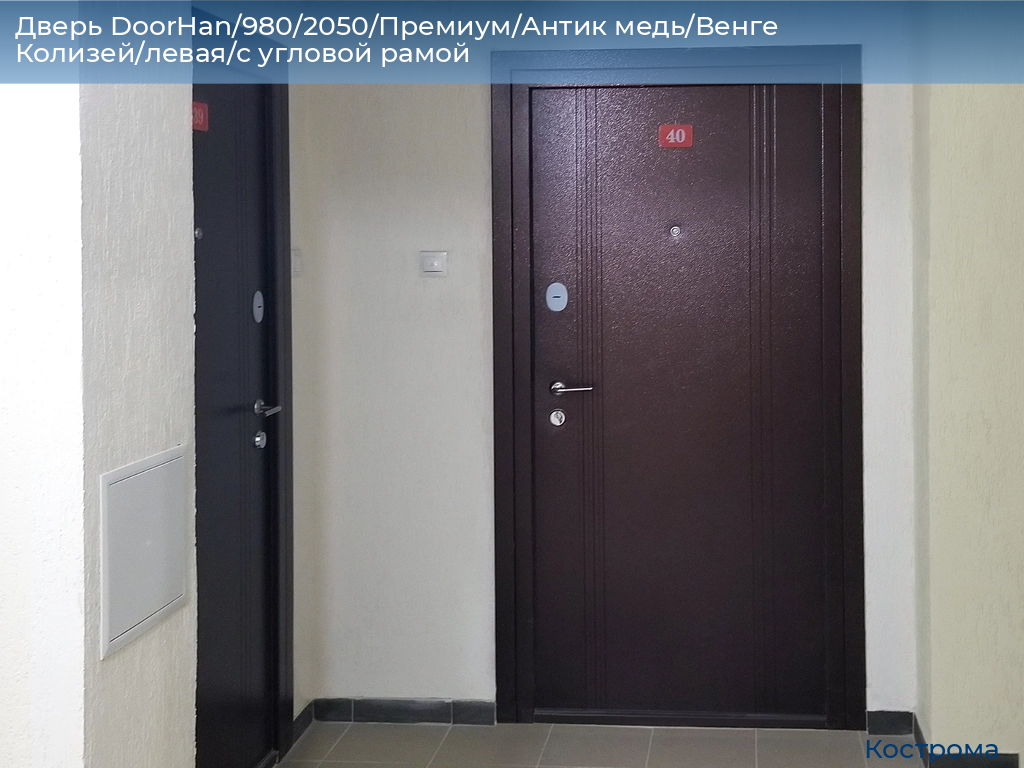 Дверь DoorHan/980/2050/Премиум/Антик медь/Венге Колизей/левая/с угловой рамой, kostroma.doorhan.ru