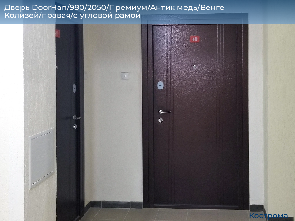 Дверь DoorHan/980/2050/Премиум/Антик медь/Венге Колизей/правая/с угловой рамой, kostroma.doorhan.ru