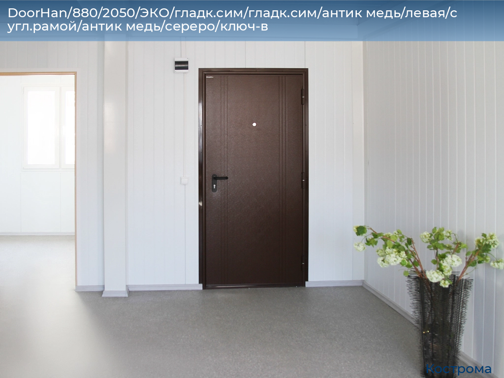 DoorHan/880/2050/ЭКО/гладк.сим/гладк.сим/антик медь/левая/с угл.рамой/антик медь/сереро/ключ-в, kostroma.doorhan.ru