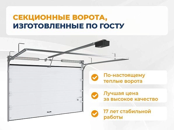 Секционные ворота 2500х2150 мм коричнево-красные DoorHan RSD02, kostroma.doorhan.ru